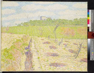 Un vignoble toscan
